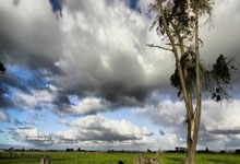 CBA：北京北汽男篮客场120-112浙江稠州金租男篮.